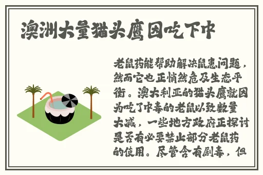 让我看看你的小扇贝